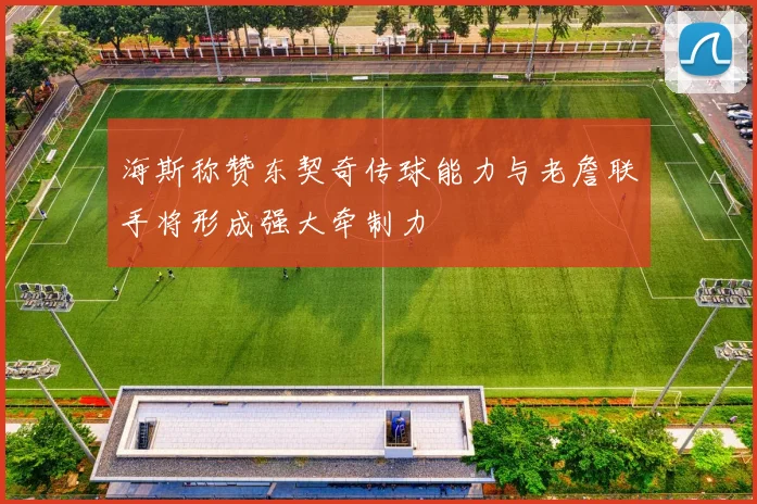 海斯称赞东契奇传球能力与老詹联手将形成强大牵制力